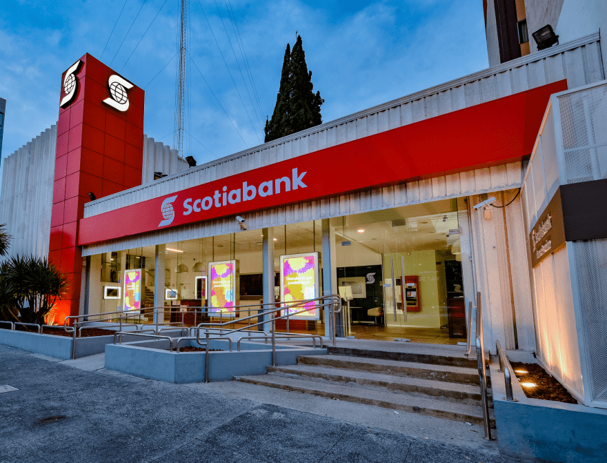 The Best Scotiabank Credit Cards in 10 Categories