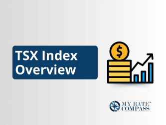 What is the S&P/TSX Index?